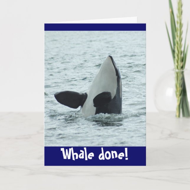 Whale done! Congrats card (Front)