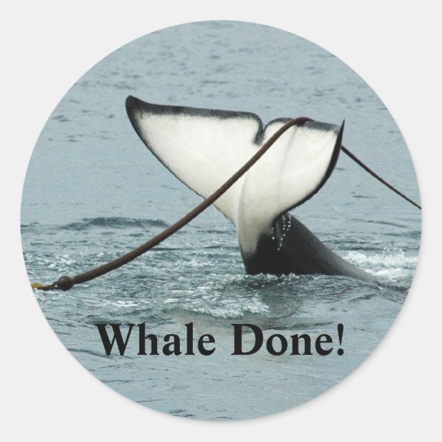 Whale Done! Sticker (Front)