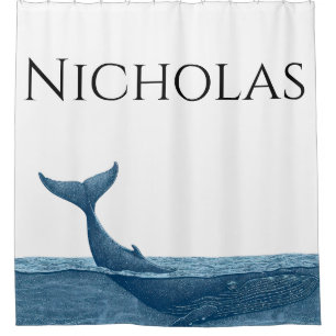 Whale in ocean