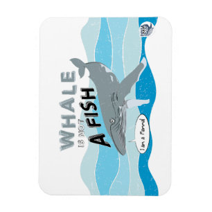Whale is not a fish magnet