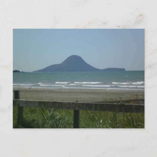 Whale Island, New Zealand Postcard (Front)