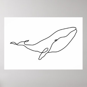 Whale , line art illustration poster