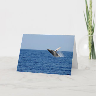 Whale of a Time Card