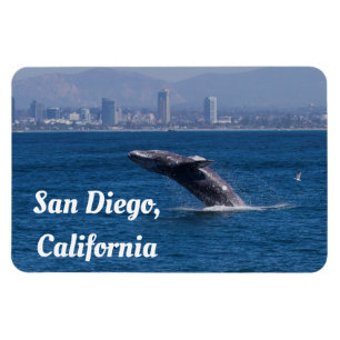 Whale of a Time San Diego, CA Magnet