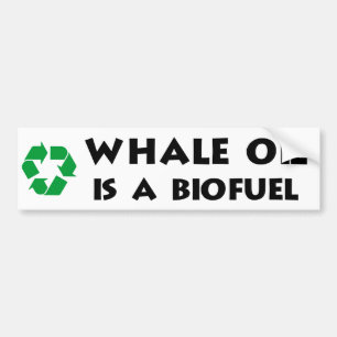 Whale Oil Is a Biofuel Bumper Sticker