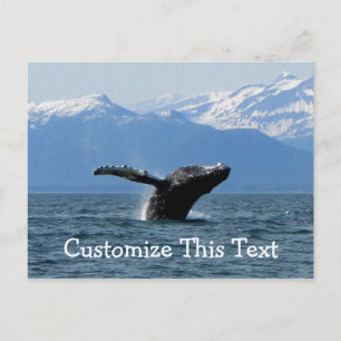 Whale Playtime; Customizable Postcard