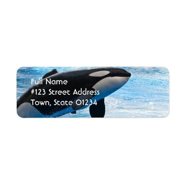 Whale Return Address Label (Front)