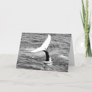 Whale Shakes a Tail Feather carte d'anniversaire