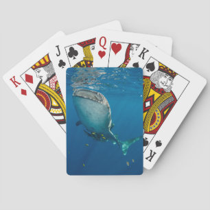 Whale Shark and Fish Playing Cards