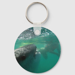 Whale Shark and Swimmer Keychain