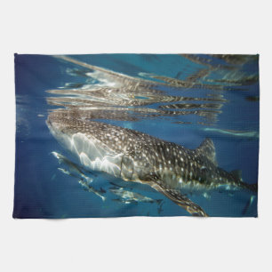 Whale shark Oslob Philippines Kitchen Towel