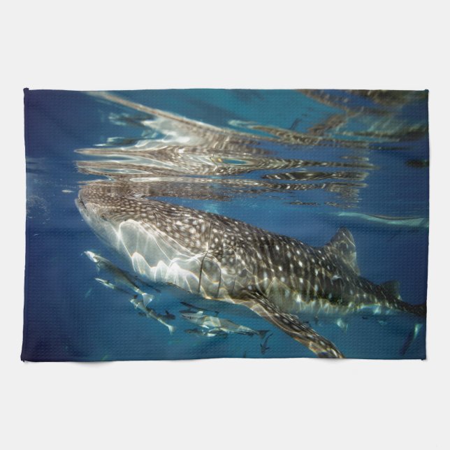 Whale shark Oslob Philippines Kitchen Towel (Horizontal)