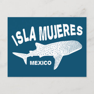 Whale Shark Scuba Diving Isla Mujeres Postcard