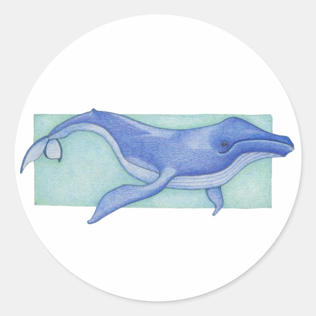 Whale Sticker (Front)