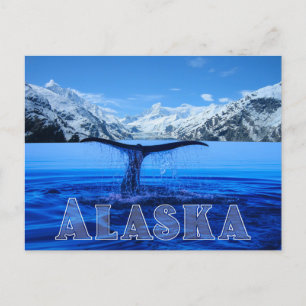 Whale Tail Alaska - Postcard
