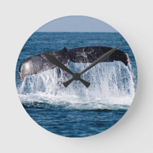 Whale Tail Round Clock