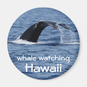 Whale Watching, Hawaii Magnet