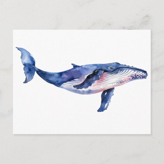 Whale Watercolor   Postcard (Front)