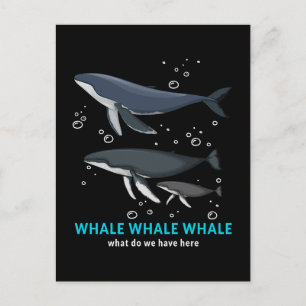Whale Whale Whale What Do We Have Here Holiday Postcard