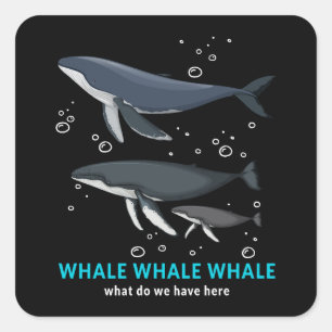 Whale Whale Whale What Do We Have Here Square Sticker