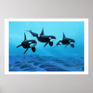WHALE WORLD PRINT