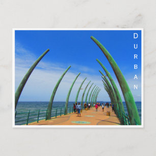whalebone pier durban postcard