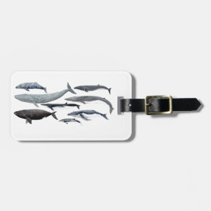 Whales and right whales luggage tag
