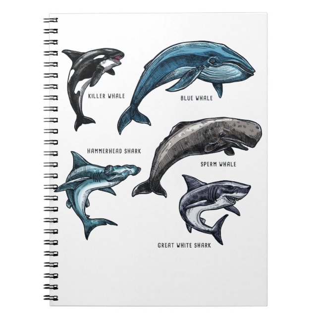 Whales and Sharks Marine Life Graphic Design Adult Notebook (Front)