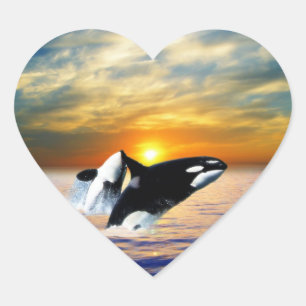 Whales at sunset heart sticker