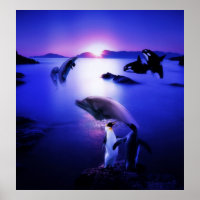 Whales dolphins penguins ocean sunset