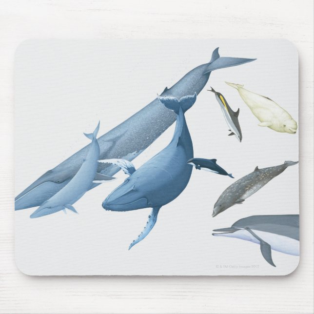 Whales Mouse Pad (Front)