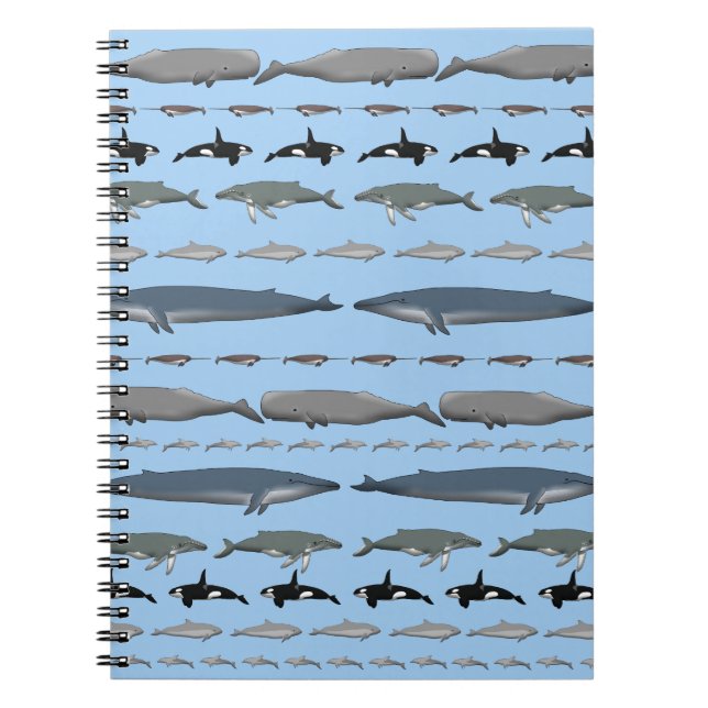 whales notebook (Front)