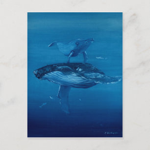Whales Postcard