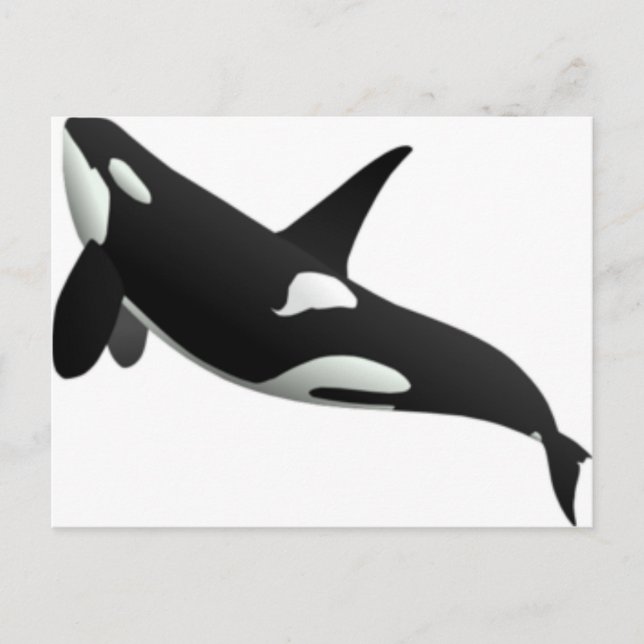 Whales Postcard (Front)