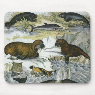Whales, Seals and Walruses, Vintage Marine Animals Mouse Pad