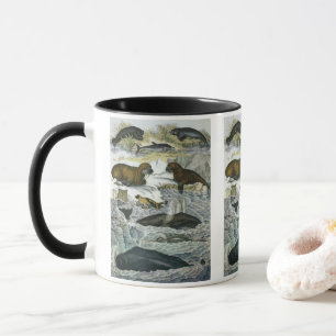 Whales, Seals and Walruses, Vintage Marine Animals Mug