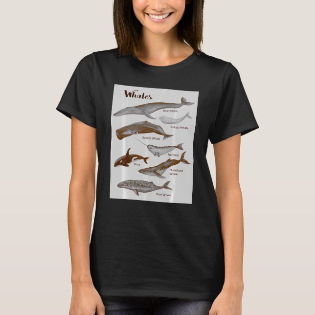 Whales Species Whale Sea Mammals Marine Mammal Orc T-Shirt (Front)