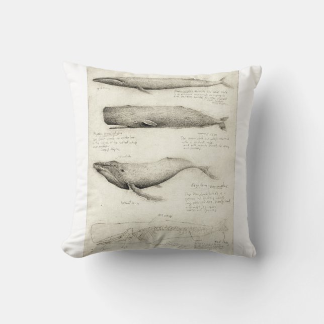 Whales Throw Pillow (Front)