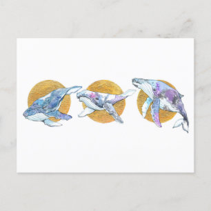 Whales Trio Fly Float and Dream A Postcard