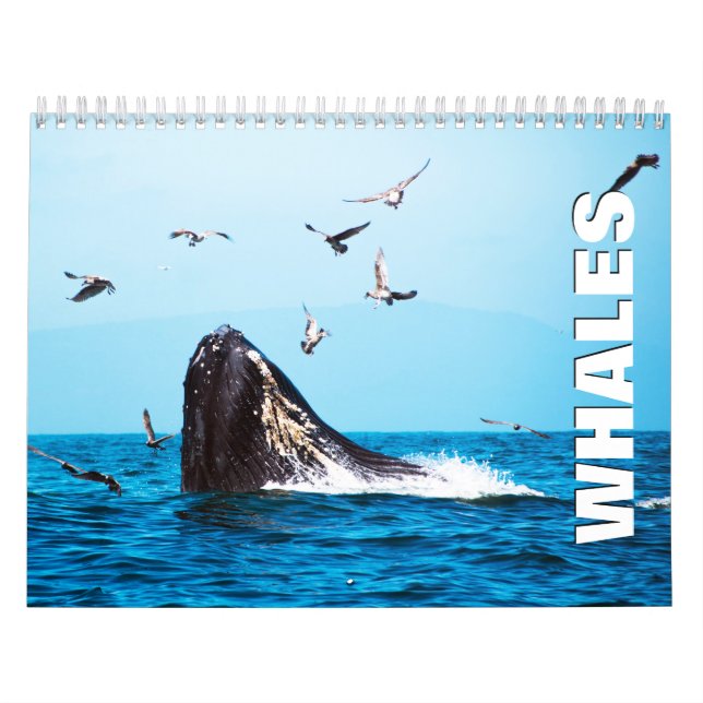 Whales Wall Calendar (Cover)