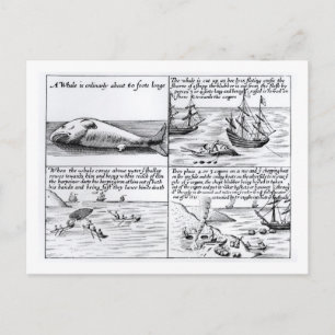 Whaling at Spitzbergen in 1611 (engraving) (b/w ph Postcard