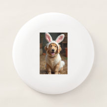 Doggy Bunny