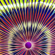 Wham-O Ultimate UPA Approuvé 175g Frisbee Flying D