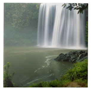 Whangarei Falls, Whangarei, Northland, New Tile