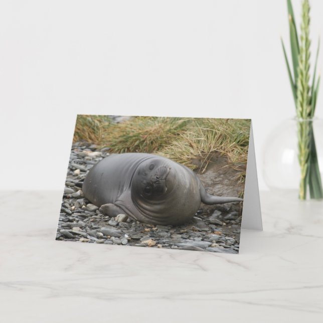 Whassup? Card (Front)