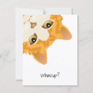 Whas'up Orange Upside Down Cat Invitation