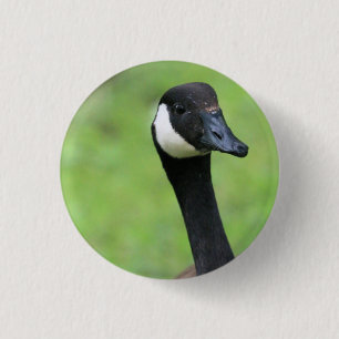 What? 1 Inch Round Button