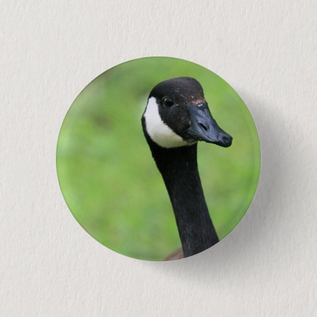 What? 1 Inch Round Button (Front)