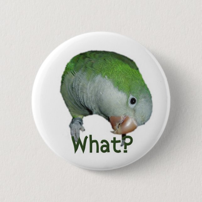 What? 2 Inch Round Button (Front)