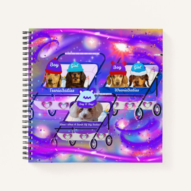 What A Buch Of Big Babies Notebook (Front)